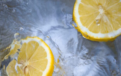 Two slices of lemon in water